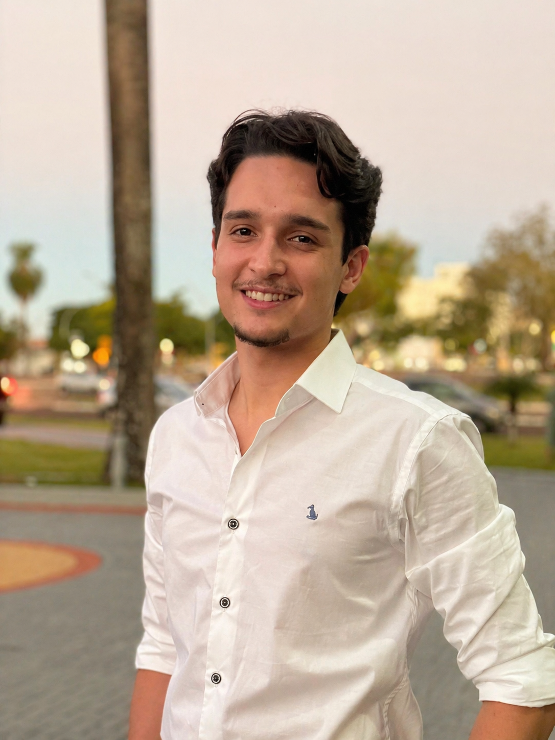 Kevin Pires - Developer